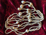 Seashell Macrame Plant Hanger: Cowrie Shells, 20 Inch Handmade Decor