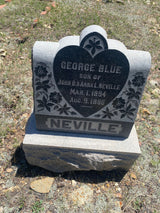 130 Year Old Graveyard Dirt 4 pounds - see pics for history Bulk