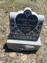 Wholesale: Graveyard Dirt from Cemetery Cripple Creek Colorado | Gothic Wedding Favors Bulk 20, 40 or 60 jars