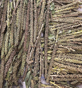 Mullein Flower Stalks Dried Freshly Harvested Organic Chose Sizes Quantity