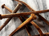 130 Year Old Rusty Square Cut Iron Nails - Broken Pieces