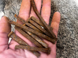 130 Year Old Rusty Square Cut Iron Nails - Broken Pieces