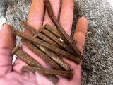 130 Year Old Rusty Square Cut Iron Nails - Broken Pieces