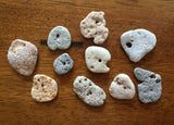 Odin Stone ~ Hag Stone ~ Witches Stone ~ Beach Stone