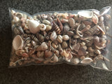 Tiny Sea Shell Mix for Crafts