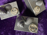 Handmade Herb Box - Paper Mache Seashells and Pentagram
