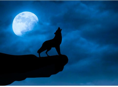 The Full Wolf Moon: January 6, 2023