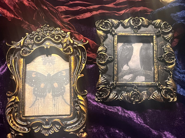 Witchy Antiqued Frame Lot 3