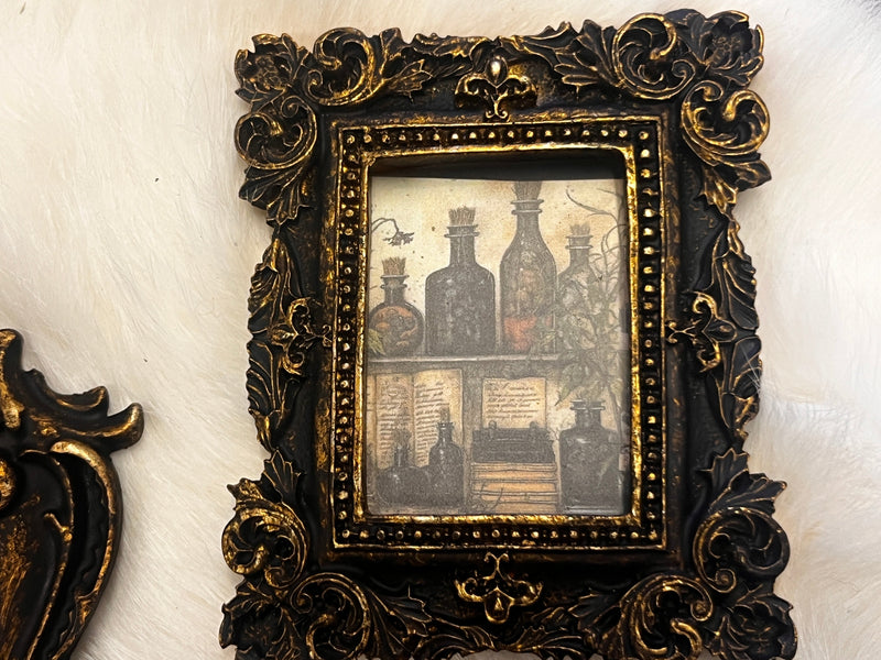 Witchy Antiqued Frame Lot 001