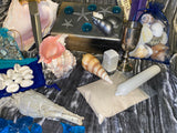 Sea Witch Altar Kit - 21 Items - spells, instruction and more - Large Kit (akit-1074)