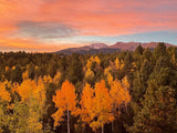 Witch's Ash in Glass Jar Moonlight Charged Pine and Aspen Colorado Mountains