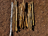 10 Bulk Mullein Stems without flower Freshly Dried Harvested Organic 10-12 inches
