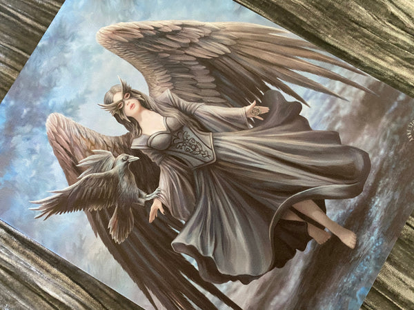 Raven Canvas Print - Anne Stokes 13822