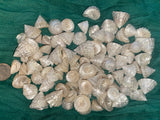 Among Pong Pearl Sea Shells for craft projects Lot of 10