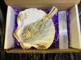 Smudging Gift Box Kit Irish Scallop Shell, Selenite Wand, White Sage Torch (sm-01)